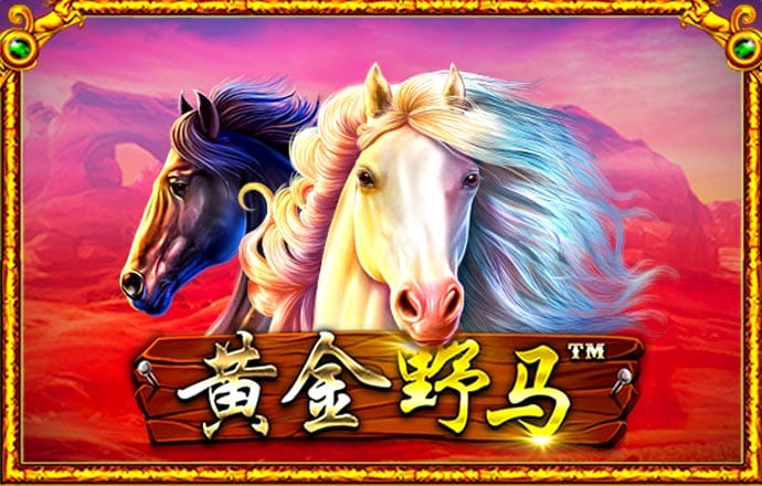 944cc天下赢彩线路入口3
